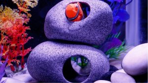 Best Aquarium Cave and Rock Decor Set: Proven Trusted Picks