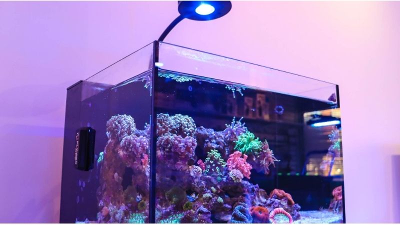 best aquarium chiller for a nano reef tank