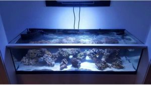 Best Aquarium Chiller for Beginners: Trusted Expert Picks