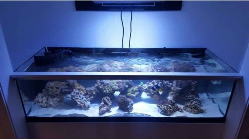 best aquarium chiller for beginners