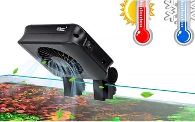 Best Aquarium Chiller for Freshwater Tanks: Proven Top Picks