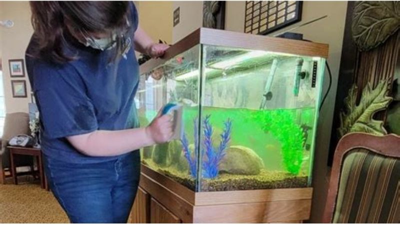 best aquarium chiller maintenance and cleaning kit