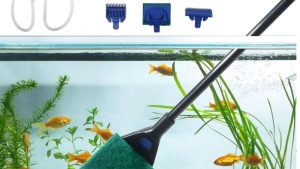 Best Aquarium Cleaning Kit for Beginners: Top Tested Guide