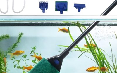 Best Aquarium Cleaning Kit for Beginners: Top Compared Guide