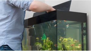 Best Aquarium Controller for a Fish Room: Proven Top Picks