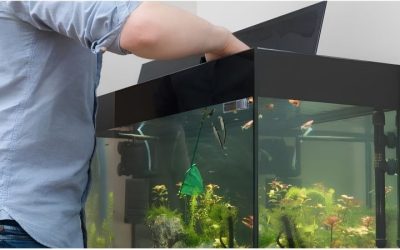 Best Aquarium Controller for a Fish Room: Proven Top Picks