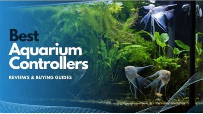 best aquarium controller for a reef tank