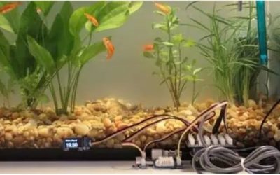 Best Aquarium Controller for a Vacation Setup: Trusted Picks