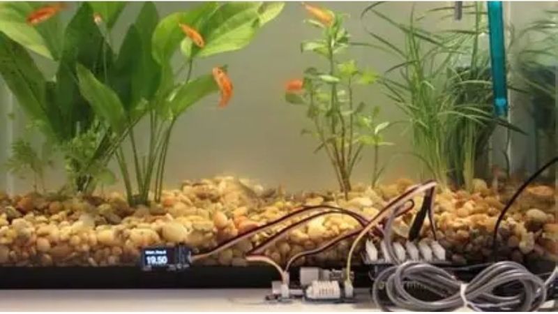 best aquarium controller for a vacation setup