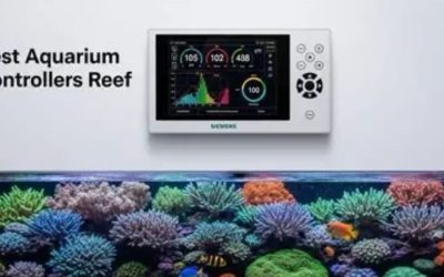Best Aquarium Controller for Automating a Tank: Top Picks