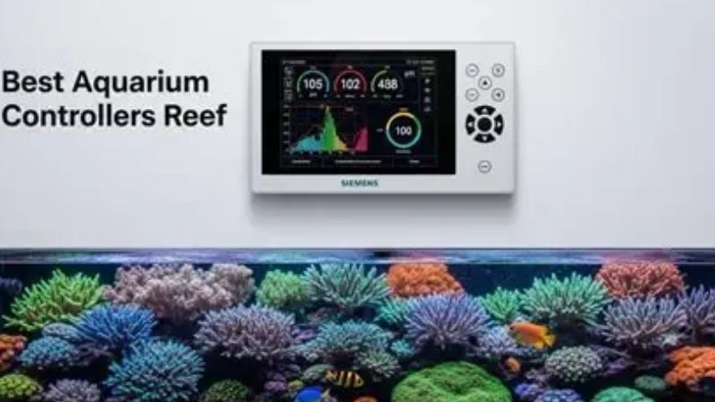 best aquarium controller for automating a tank