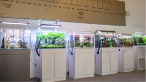 Best Aquarium Controller for Beginners: Top Tested Guide