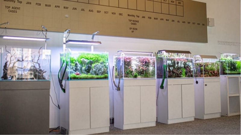 best aquarium controller for beginners
