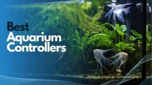 Best Aquarium Controller for Freshwater Planted Tanks: Smart