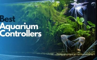 Best Aquarium Controller for Freshwater Planted Tanks: Smart
