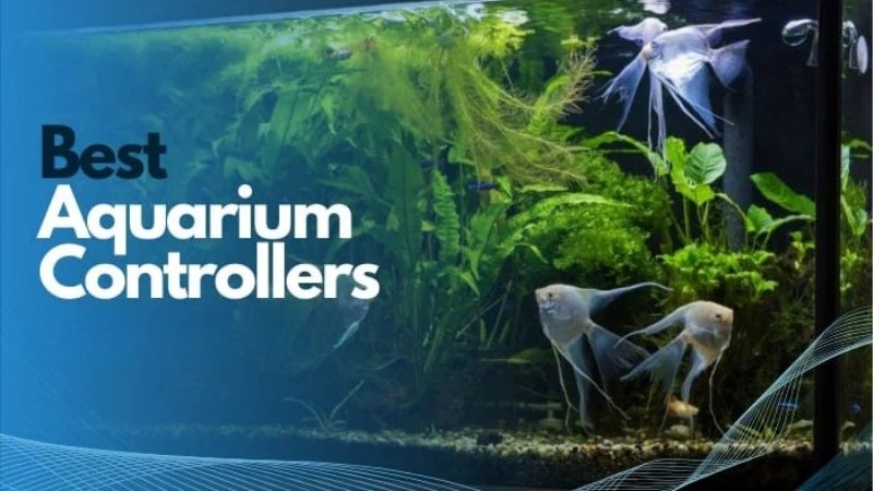 best aquarium controller for freshwater planted tanks
