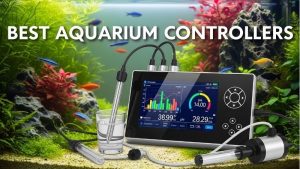 Best Aquarium Controller for the Money: Top Expert Picks