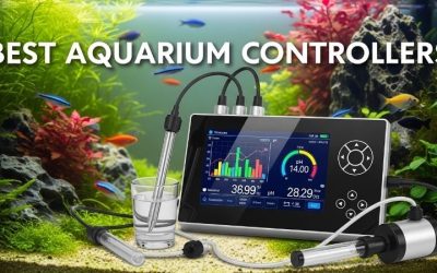 Best Aquarium Controller for the Money: Top Expert Picks