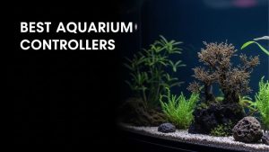 Best Aquarium Controller With Leak Detection: Expert Pick
