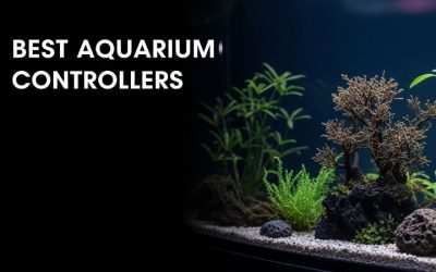 Best Aquarium Controller With Leak Detection: Expert Pick