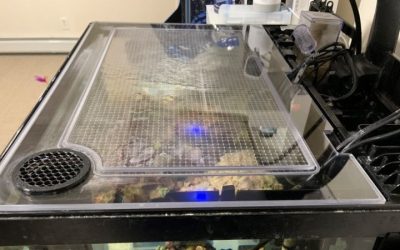 Best Aquarium Cover for Evaporation Control: Top Tested