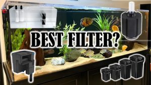 Best Aquarium Filter for 45 Gallon Tank: Top Tested Picks