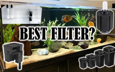Best Aquarium Filter for 45 Gallon Tank: Top Tested Picks