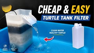 Best Aquarium Filter for Turtle Tank: Top Reliable Picks