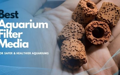 Best Aquarium Filter Media for Crystal Clear Water: Picks