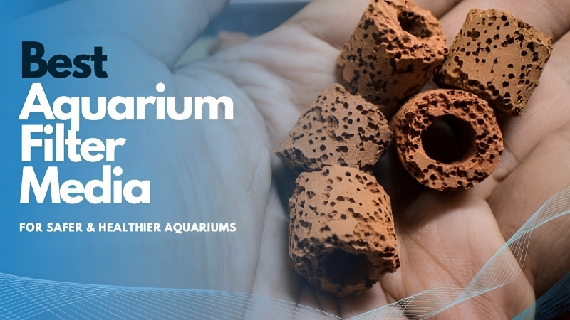 best aquarium filter media for crystal clear water