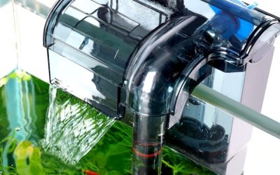 Best Aquarium Filter with Debris Chamber: Smart Top Picks