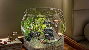 Best Aquarium for an Office Desk: Top Compared Compact Picks