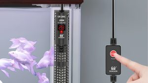 Best Aquarium Heater With Digital Display: Smart Choices