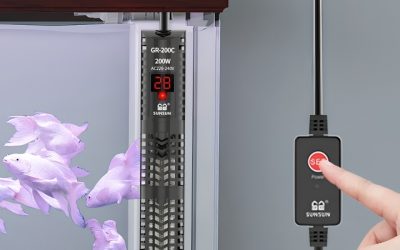 Best Aquarium Heater With Digital Display: Smart Choices