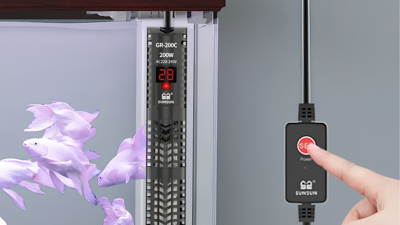 best aquarium heater with digital display