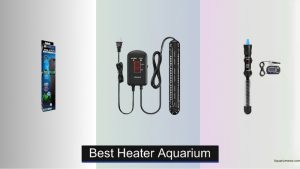 Best Aquarium Heater With Over Temperature Protection Guide