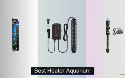 Best Aquarium Heater With Over Temperature Protection Guide