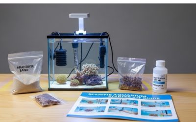 Best Aquarium Kit For Beginners 2026: Top Tested Buyer Guide
