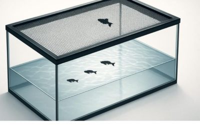 Best Aquarium Lid for Jumping Fish: Top Tested Mesh Picks