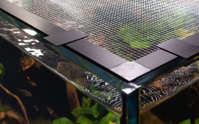 Best Aquarium Lid With Feeding Hole: Top Tested Access Picks