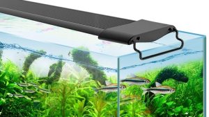 Best Aquarium Light for 20 Inch Tank: Smart Picks for 2026