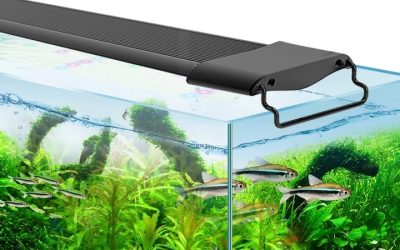 Best Aquarium Light for 20 Inch Tank: Smart Picks for 2026