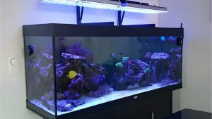 Best Aquarium Light for 36 Inch Tank: Smart Picks for 2026