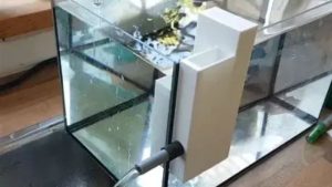 Best Aquarium Overflow Box for a 125 Gallon Tank: Top Picks
