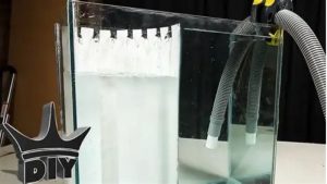 Best Aquarium Overflow Box for a 55 Gallon Tank: Top Picks