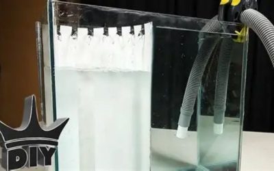 Best Aquarium Overflow Box for a 55 Gallon Tank: Top Picks