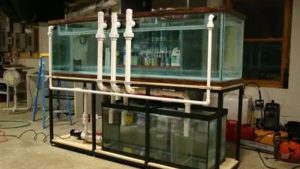 Best Aquarium Overflow Box for a 75 Gallon Tank: Top Picks