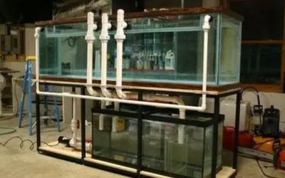 Best Aquarium Overflow Box for a 75 Gallon Tank: Top Picks