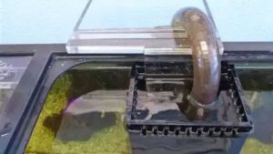 Best Aquarium Overflow Box for a Nano Reef Tank: Top Picks