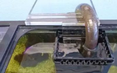 Best Aquarium Overflow Box for a Nano Reef Tank: Top Picks